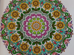 whatsapp bild 2024-07-19 um 12.11.08_3e715bc3